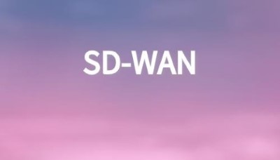 SD-WAN部署混合网络