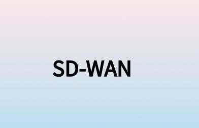 SD-WAN建立公用网络通讯