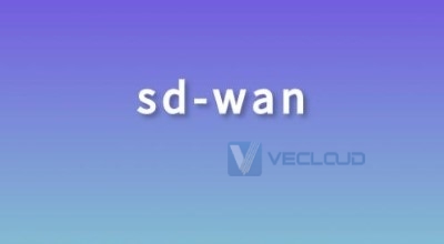 安全的SD-WAN：具有分支机构的安全公司