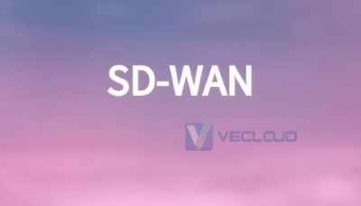 sdwan盒子与vcpe如何建立连接?