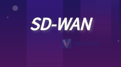SD-WAN全球组网
