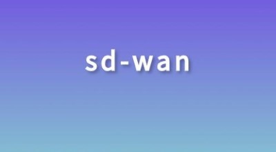 企业组网解决方案：组网或SD-WAN组网