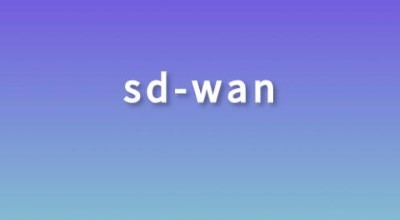 SD-WAN网络架构