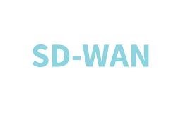 SD-WAN：医疗行业最佳网络药剂