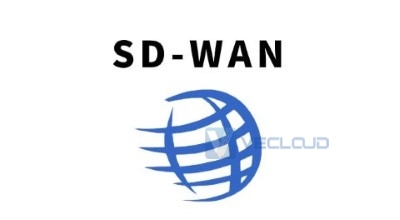 SD-WAN SDN网络