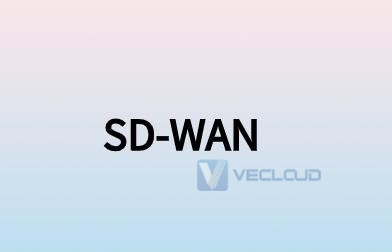 SD-WAN提供用户多样性体验