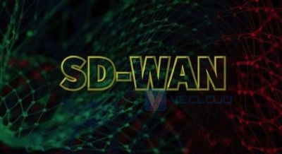 sd-wan走的是internet链路