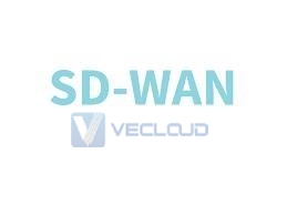 您能负担得起SD-WAN费用吗?