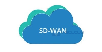 SD-WAN体系结构和组件