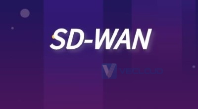 SD-WAN与异地组网