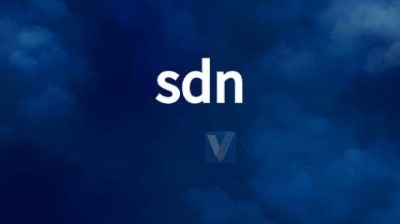 SDN中的开放性