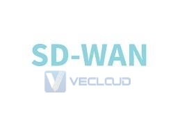 SD-WAN：优化专线网络