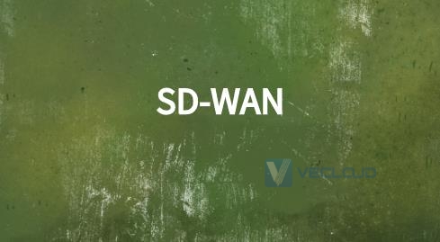 为什么远程访问是SD-WAN网络弹性的关键?
