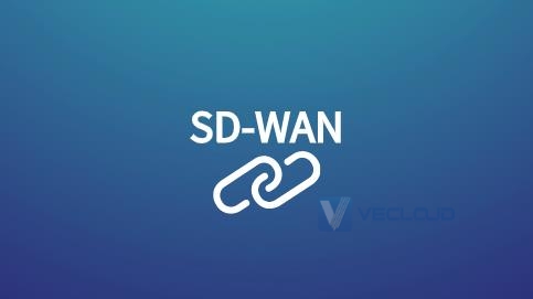 SD-WAN网络环境与SASE无缝集成