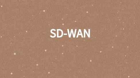 乘SD-WAN之力，企业用好5G