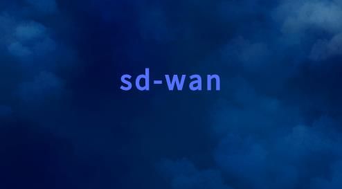 适用于多云的SD-WAN