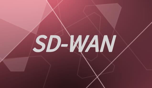 5g虚拟专网sdwan