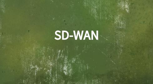 SD-WAN网络产品