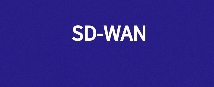 混合网络云SD-WAN服务
