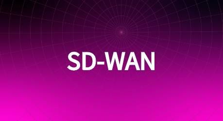 sdwan用的方案有什么特征?