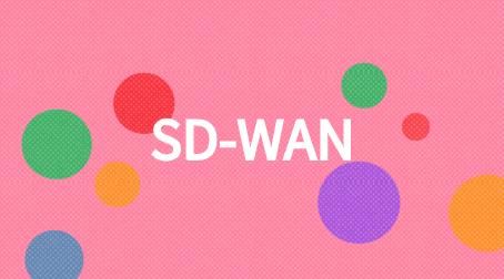 企业组织可以使用SD-WAN、专线组网连接地域分散的员工