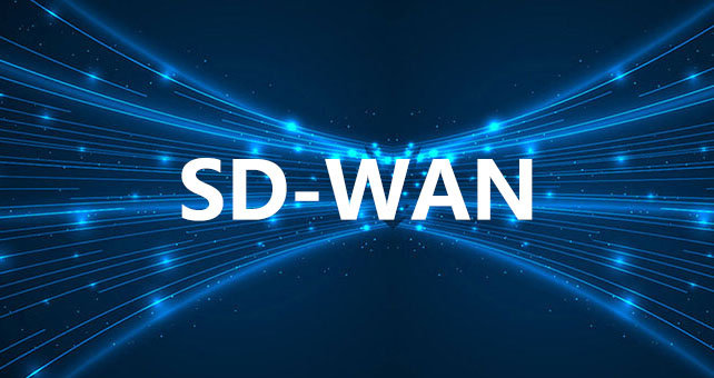 SD-WAN是否只是淘金者的狂欢？