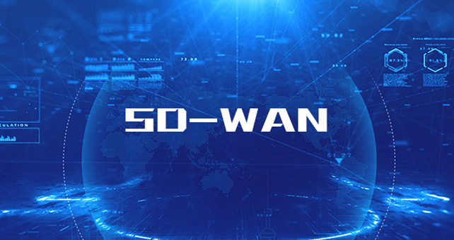 SD-WAN流量及路由模型