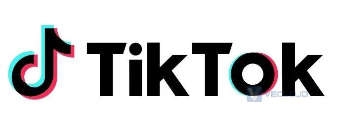 TikTok专线：打通国际网络，实现全球流畅观看