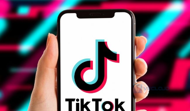 TikTok专线：从网络角度，解析TikTok短视频爆红的秘密